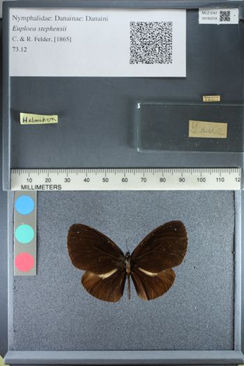 Media type: image;   Entomology 160318